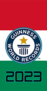 Újabb magyar Guinness rekordok videojátékokkal